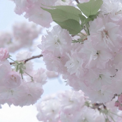 Furry角色性格塑造技巧兽圈社群